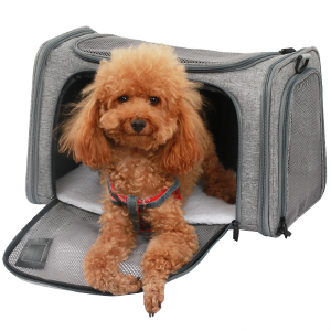 pet carrier