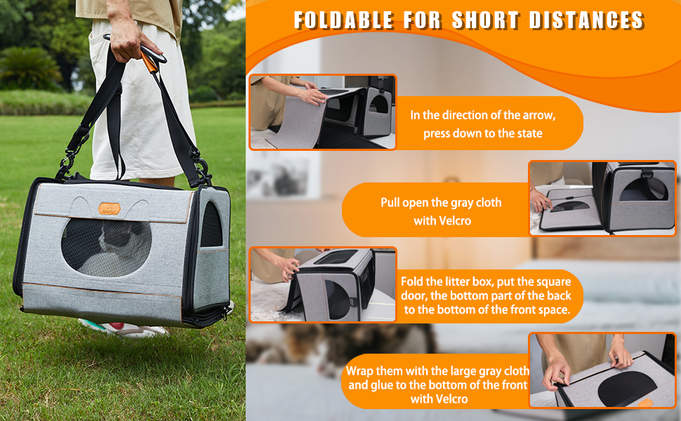 cat carrier for 2 cats