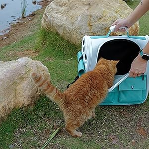 cat backpack