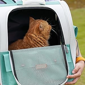 cat backpack