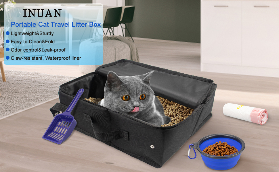 Cat litter box 