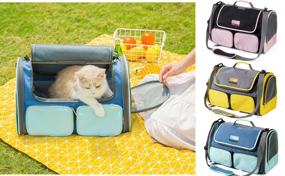 Pet carrier