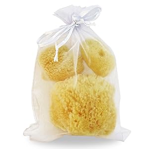 Constantia Pets Natural Sea Sponge for Dogs