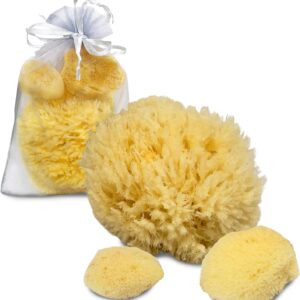 Constantia Pets Sea Sponges for Dogs - Luxury Canine Bath Care, for Pet Grooming, Soft & Gentle Pampering