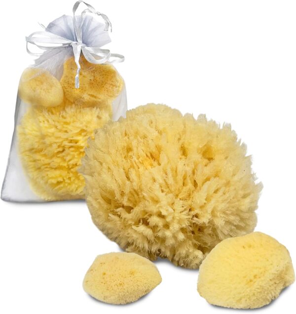 Constantia Pets Sea Sponges for Dogs - Luxury Canine Bath Care, for Pet Grooming, Soft & Gentle Pampering