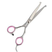 6.5 inch Round Tip Straight scissors