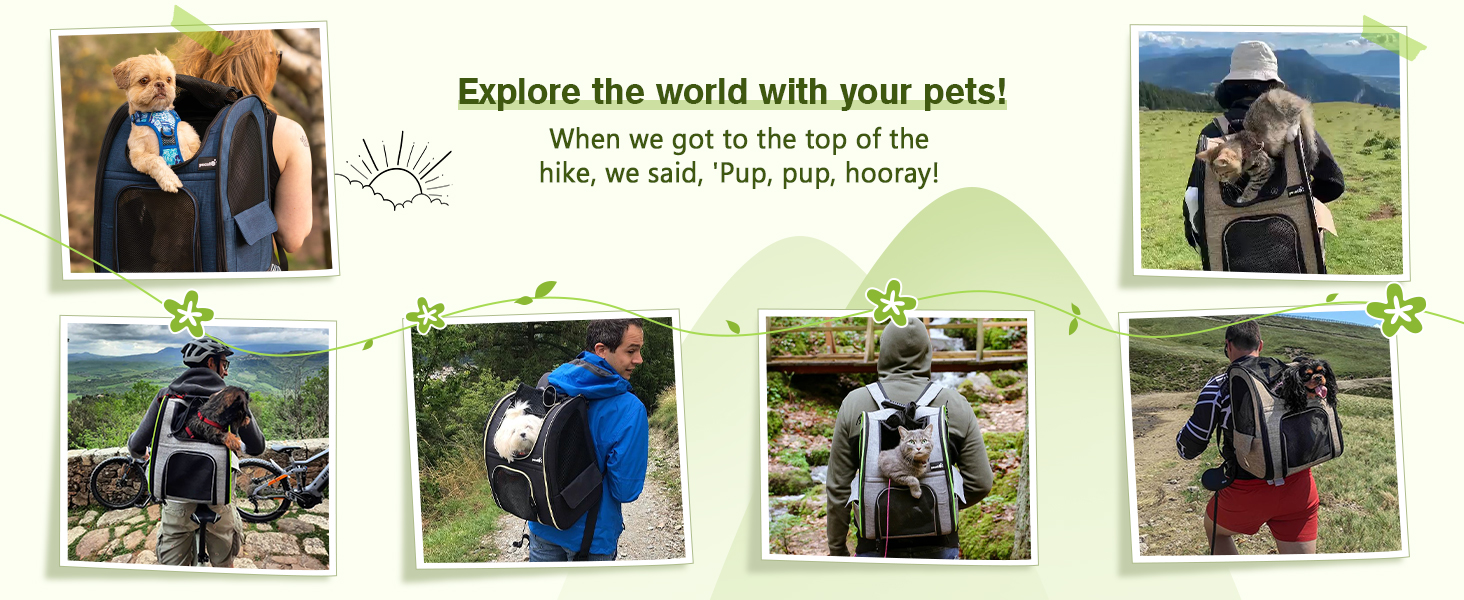 dog travel backpack