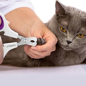 How to use this pet nail clippers