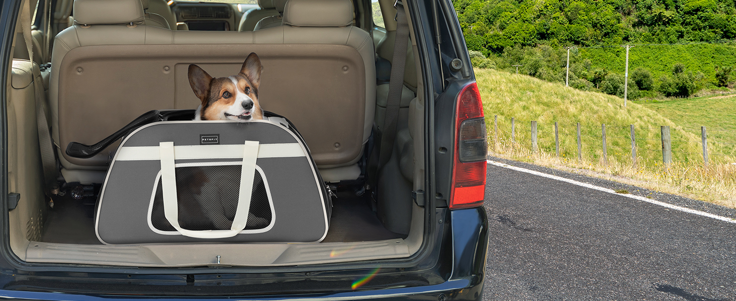 Dog Trolley