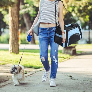 Cat Carrier