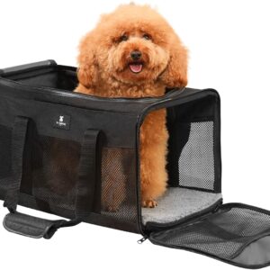 X-ZONE PET Airline Approved Soft-Sided Pet Travel Carrier for Dogs and Cats (Large, Black)