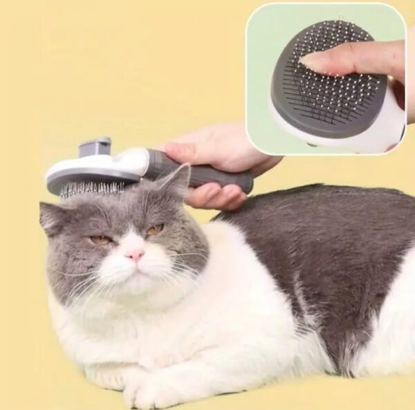 cat brush dog brush groomi tool for dogs dog brushes for grooming - Image 2