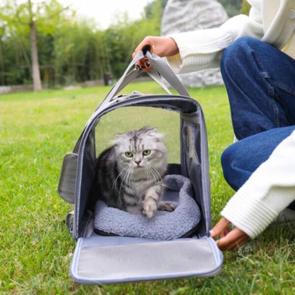 Portable Soft Fabric Cat Carrier Bag For Safe And Comfy Pet Travel - Front & Side Opening To Help Carry Your Cat - Mesh Window For Light & Air For Your Cat - Comfortable Leather Handle Travel Case - Image 4