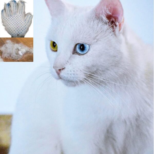 Cat Dog Grooming Glove, for Dog, Cat, Horse, Pet Brush Glove, Massage Tool with Enhanced Five Finger Design,for Dog,Cat,Rabbit,Horse with Long/Short Fur, (1 Pair) (Blue) - Image 2