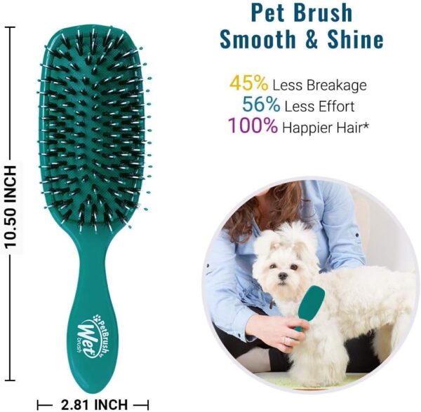 Wet Brush Pet Hair Brush, Smooth & Shine Dog and Cat Brush - De-Shedding Comb & Dematting Tool for Grooming Long or Short-Haired Dogs - Tangle-Free for Less Pulling & Tugging - Teal - Image 2