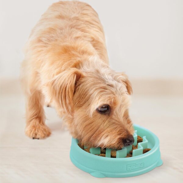 Outward Hound Fun Feeder Slo Bowl - Slow Feeder Dog Bowl - No Bloat - No Choke - Small - Mini - Mint - Image 6