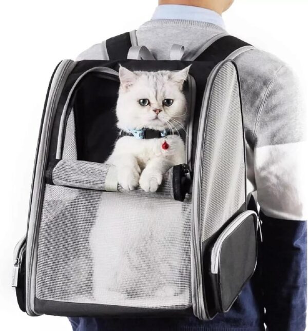 Cat Backpacks for Carrying Cats, Cat Carrier Backpack Fully Ventilated Mesh Cat Carrier Shoulder Bag for Travel Walking Hiking - Image 6