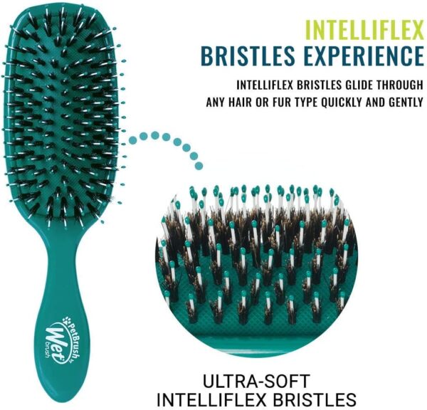 Wet Brush Pet Hair Brush, Smooth & Shine Dog and Cat Brush - De-Shedding Comb & Dematting Tool for Grooming Long or Short-Haired Dogs - Tangle-Free for Less Pulling & Tugging - Teal - Image 3