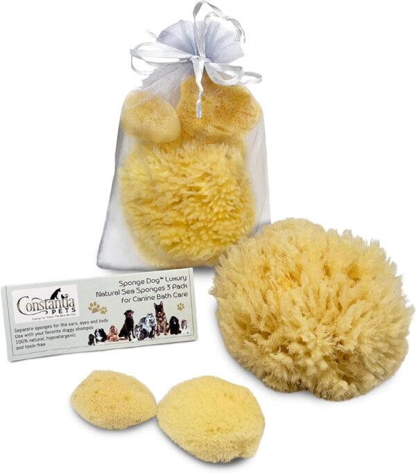 Constantia Pets Sea Sponges for Dogs - Luxury Canine Bath Care, for Pet Grooming, Soft & Gentle Pampering - Image 3