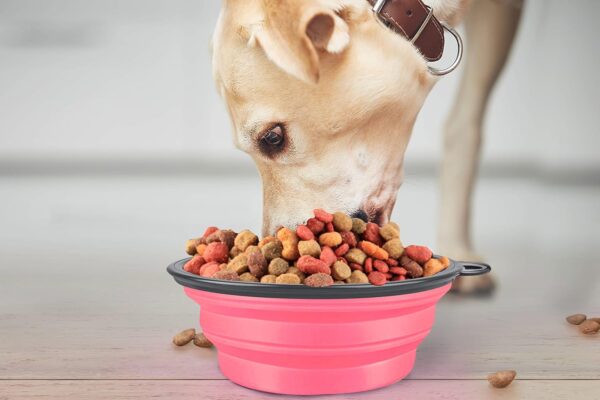 Pet's Playground | Collapsible Dog Bowl | Portable Dog Water Bowl | Fold Up Dog Bowl | Raised Dog Bowl | Dog Bowls | Dog Bowl Portable | Foldable Dog Bowl | Folding Dog Bowl Medium | 350 ML | Pink - Image 2