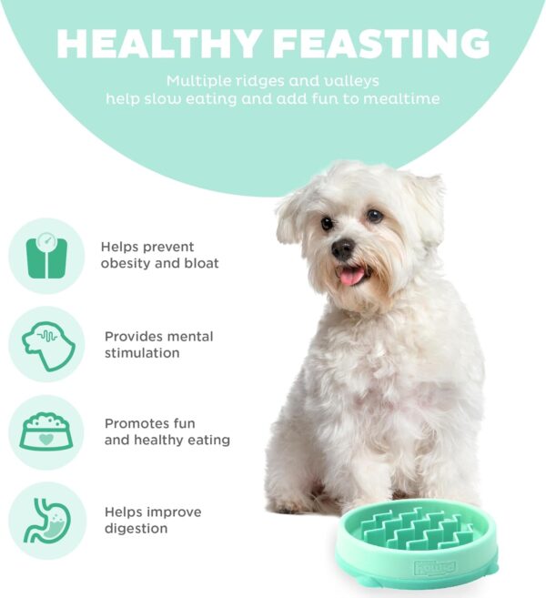 Outward Hound Fun Feeder Slo Bowl - Slow Feeder Dog Bowl - No Bloat - No Choke - Small - Mini - Mint - Image 4