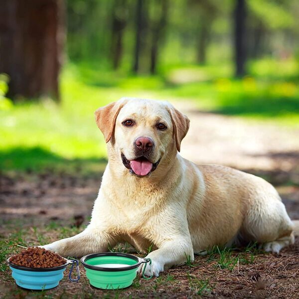 SLSON Collapsible Dog Bowls 2 Pack Dog Travel Bowl with Lid and Carabiners Pet Feeding Water Bowl Porable Dog Feeder for Waling, Travellling and Daily Use, Light Blue and Light Green - Image 5