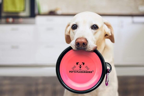 Pet's Playground | Collapsible Dog Bowl | Portable Dog Water Bowl | Fold Up Dog Bowl | Raised Dog Bowl | Dog Bowls | Dog Bowl Portable | Foldable Dog Bowl | Folding Dog Bowl Medium | 350 ML | Pink - Image 5