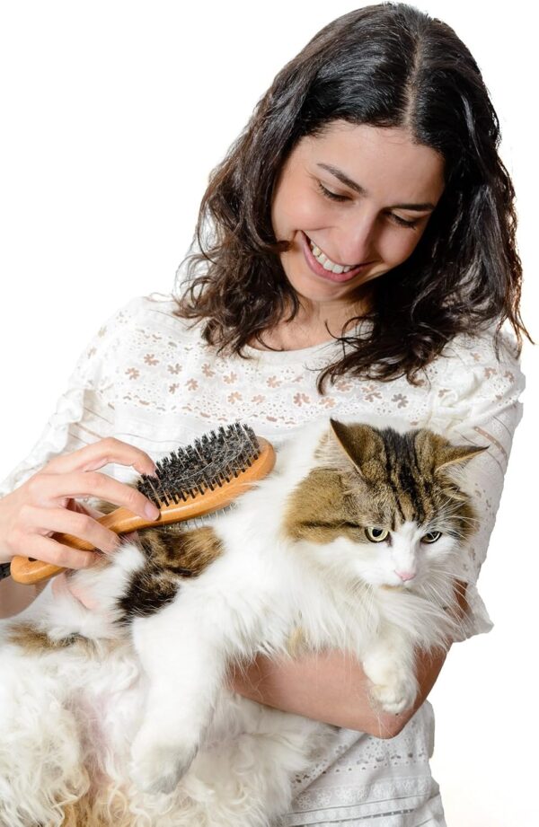 Harzara Eco-Friendly Pet Brush for Dogs & Cats. Professional, Double Sided Pin & Bristle for Short, Medium or Long Hair. Bamboo Grooming Comb Cleans Pet Shedding & Dirt Plus Smoothes Coat. - Image 6