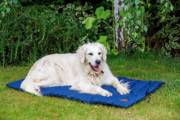 Petface Roll Up Travel Bed for Dog, Navy Blue - Image 6