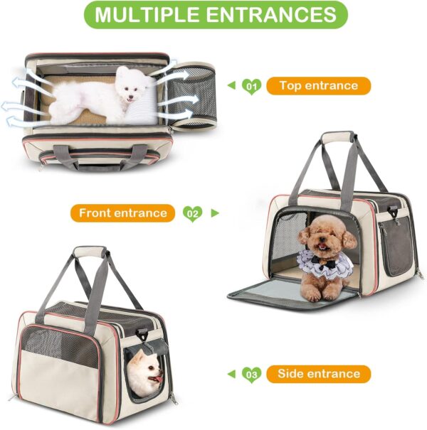 ALLSOPETS Foldable Cat Dog Pet Carrier Bag Airline Approved Soft-Sided Pet Travel Carrier with Removable Mat for Small Dog Cat Puppy Small Animal Yellow - Image 2