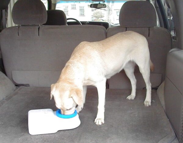 Lixit Dog Travel Water Bowl 3 Quarts - Image 4