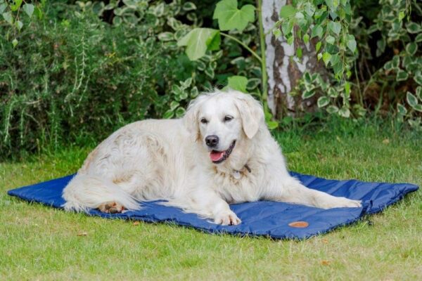 Petface Roll Up Travel Bed for Dog, Navy Blue - Image 8