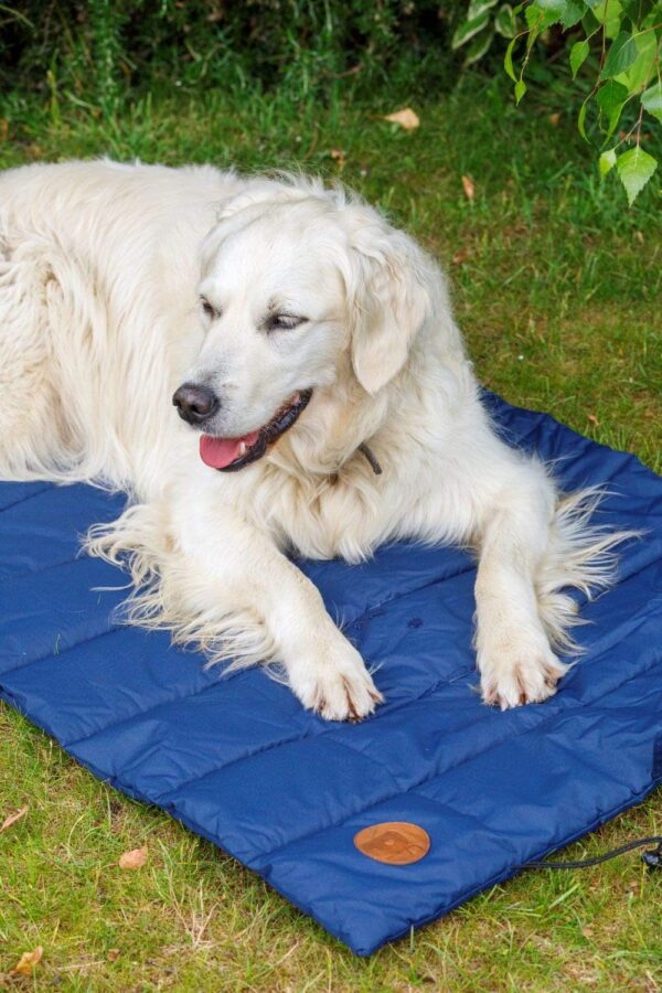 Petface Roll Up Travel Bed for Dog, Navy Blue - Image 7