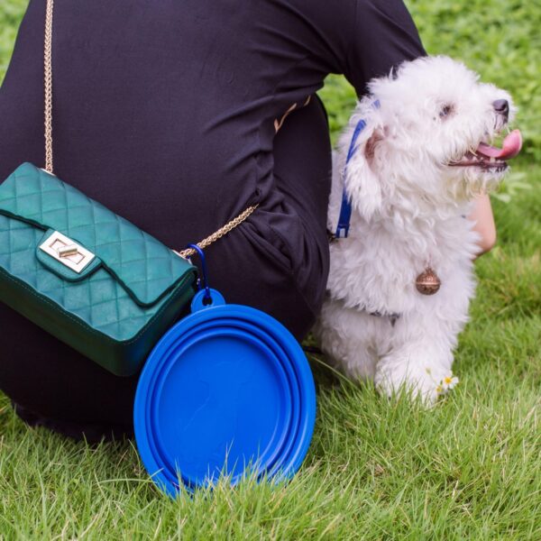 Large Collapsible Dog Bowl, Travel Dog Bowl for Small to Large Dogs（Blue） - Image 5