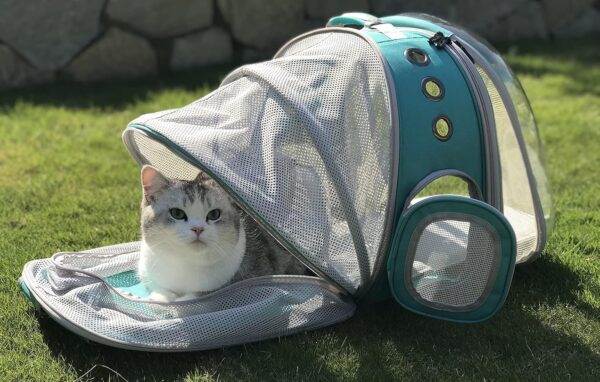 Interfashioner® Large Cat Backpack Carrier, Front & Back Extension Clear Pet Buble Backpack Carrier for Fat Cat Small Dog up to 9kgs, Backpack for Large Cats - Image 5