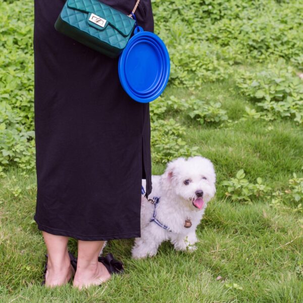 Large Collapsible Dog Bowl, Travel Dog Bowl for Small to Large Dogs（Blue） - Image 4