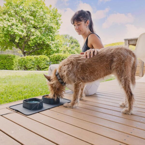 EZYDOG Roll-A-Bowl Dog Food & Water Bowls | Portable Dog Bowls, Portable Pet Food Water Bowl, Dog Feeding Bowl, Lightweight, Soft Silicone, Travel Friendly - Image 4