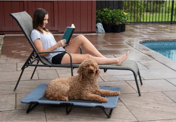 Lifestyle Pet Cot Elevated Bed, No Assembly Required, Premium Tear Resistant Cooling Mesh, Indoor & Outdoor, Lightweight & Portable, 3 Models, 2 Colors - Image 5