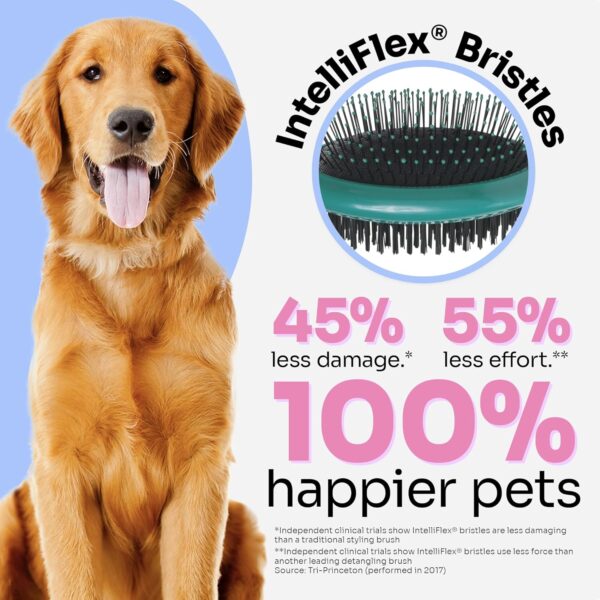 Wet Brush Ultimate Grooming Pet Brush, 2-in-1 Dual Sided Detangling Pet Brush - Ultra Soft IntelliFlex Bristles Removes Loose Hair & Dirt - Pet Grooming Detangler Brush for Dogs, Cats, Rabbits - Teal - Image 4