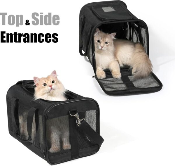 HITSLAM Pet Carrier Cat Carrier Soft Sided Pet Travel Carrier for Cats, Small dogs, Kittens or Puppies, Collapsible,Durable,Airline Approved,Travel Friendly (M) - Image 4