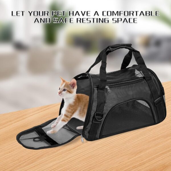 Soft-Sided Foldable Cat/Dog/Pet/Puppy Carrier Bag,Portable Pets Travel Carriers For Cats/Dogs/Pets With Shoulder Strap & Removable Mat,Durable Comfort Cat Basket Airline Approved(Black,Medium) - Image 6