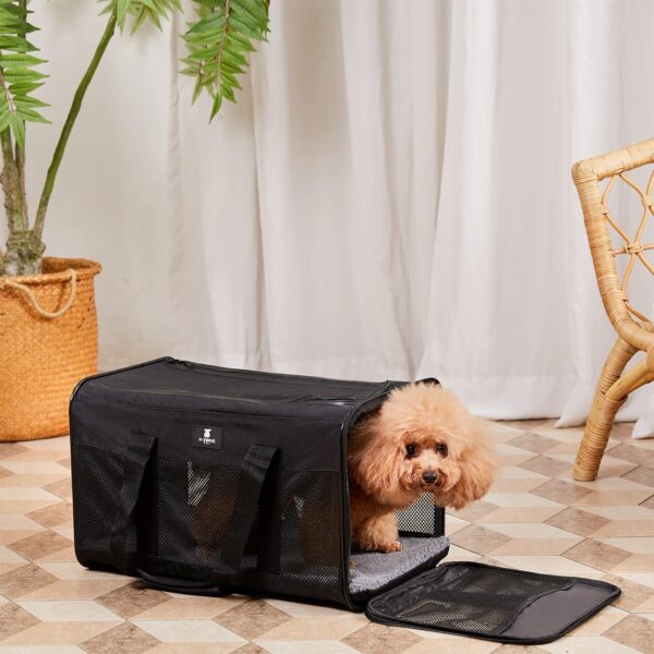 X-ZONE PET Airline Approved Soft-Sided Pet Travel Carrier for Dogs and Cats (Large, Black) - Image 4