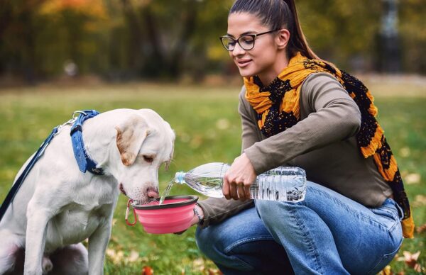 Pet's Playground | Collapsible Dog Bowl | Portable Dog Water Bowl | Fold Up Dog Bowl | Raised Dog Bowl | Dog Bowls | Dog Bowl Portable | Foldable Dog Bowl | Folding Dog Bowl Medium | 350 ML | Pink - Image 4