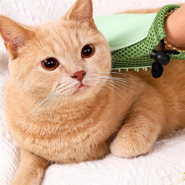 JYTDBCS Pet Grooming Glove Gentle Deshedding Brush Glove Cat Brush Gloves Efficient Pet Hair Remover Mitt-Massage Tool Suitable for Pet Dogs and Pet Cats - Image 2