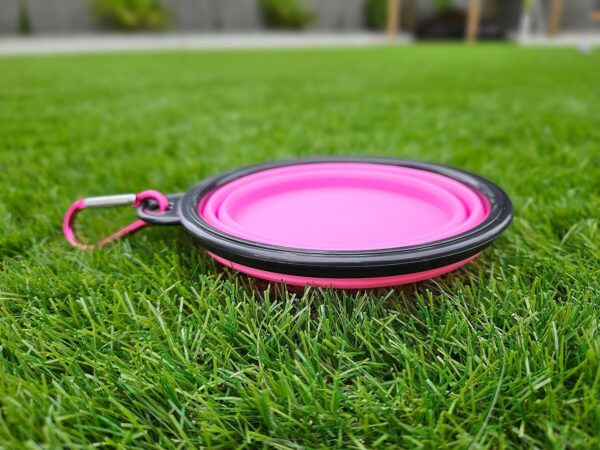 Collapsible Travel Dog Bowl Portable Large Or Small Pet Water and Food Feeding Bowl Outdoor Easy To Carry With Hook Blue or Pink (Pink Small) - Image 4