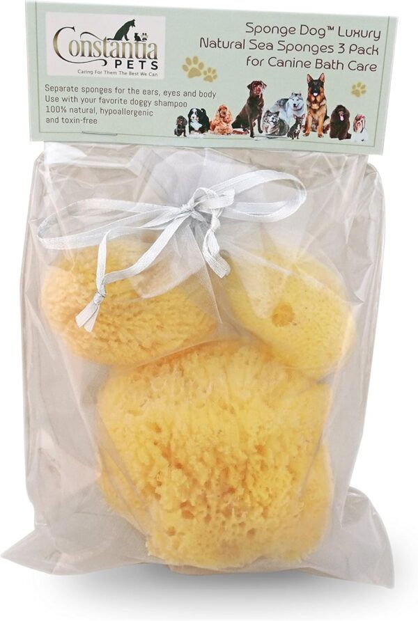 Constantia Pets Sea Sponges for Dogs - Luxury Canine Bath Care, for Pet Grooming, Soft & Gentle Pampering - Image 8