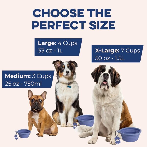 Bonza Large Collapsible Dog Bowl 1000 mL, Sturdy Reinforced Rim, Includes Carabiner & Water Bottle Holder Keychain - Image 3