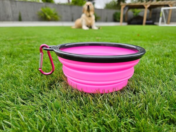 Collapsible Travel Dog Bowl Portable Large Or Small Pet Water and Food Feeding Bowl Outdoor Easy To Carry With Hook Blue or Pink (Pink Small) - Image 3