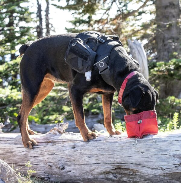 Kurgo Zippy Bowl, Collapsible Travel Dog Bowl for Food and Water with Carabiner, BPA free, Holds 1.4L, Barn Red - Image 4