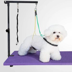 Adjustable Dog Grooming Arm with Clamp,2 No Sit Haunch Holder&Loop Noose,Adjustable Height,Foldable Dog Grooming Table Arm for Small Dogs&Puppies,Arm for Grooming Tables,Pet Grooming Stand